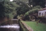 Jardim das Furnas, São Miguel - foto de Joaquim de Sousa, 1999