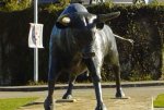 Escultura de um touro em bronze, Barrancos - foto de Ana Ferreira